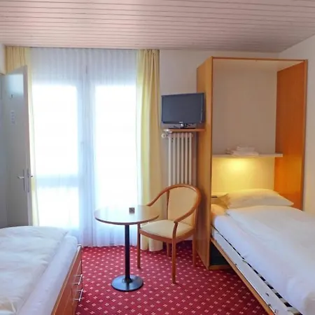 Apartment Sleeps 4 Wifi T313422 Unterseen